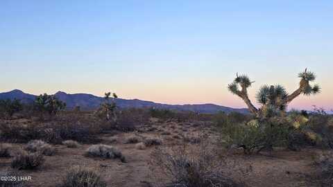 225 S Dead Eye Rd, Yucca, AZ 86438