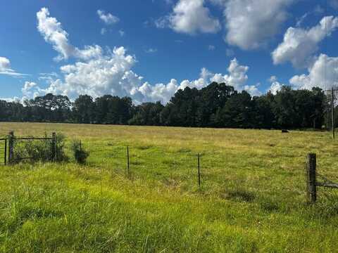 1475 FM 2558, Broaddus, TX 75929
