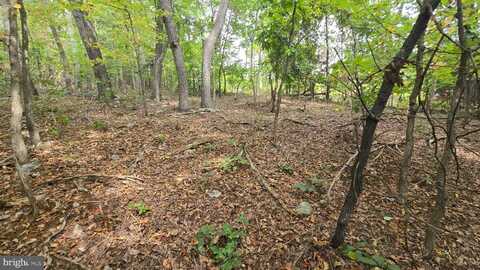 LOT 20 LONG VIEW DR, LURAY, VA 22835