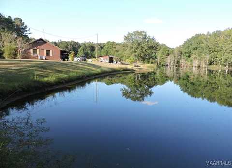 252 Harton Road, Georgiana, AL 36033