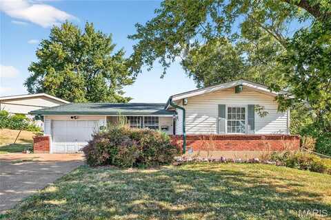 11008 Saginaw Drive, Saint Louis, MO 63136