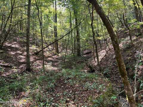 00 White Graves Road, Chatsworth, GA 30705