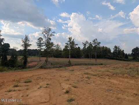 1275 Ms-4, Holly Springs, MS 38635