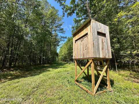 3 Forest Service Road 562, Pulaski, MS 39152