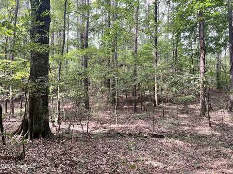 Brock Cir, Brandon, MS 39042