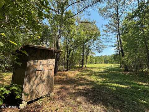 2 Forest Service Road 562, Pulaski, MS 39152
