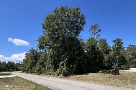 Daniel Street, Waveland, MS 39576