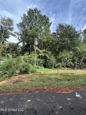 0 Lake Drive, Byhalia, MS 38611