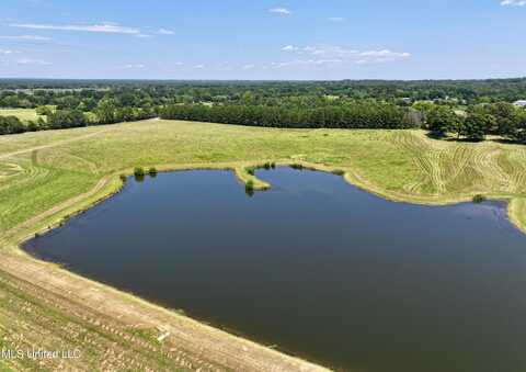 Cedar Hill Road, Flora, MS 39071