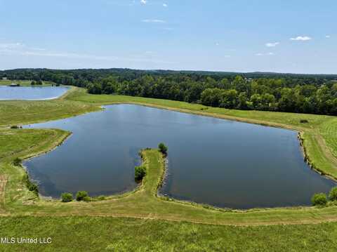 Cedar Hill Road, Flora, MS 39071