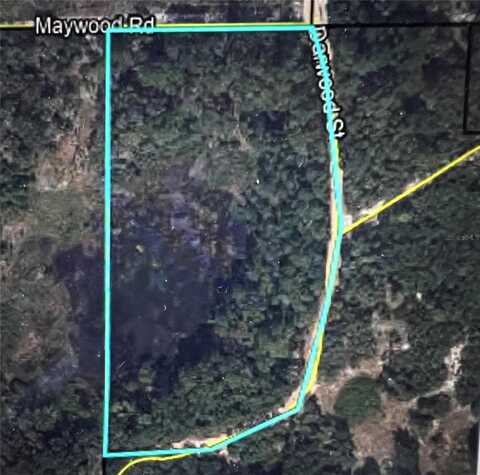 Tbd DANE LANE, MELROSE, FL 32666