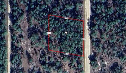 NE 134TH CT, WILLISTON, FL 32696
