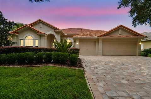 10218 WATERSIDE OAKS DRIVE, TAMPA, FL 33647