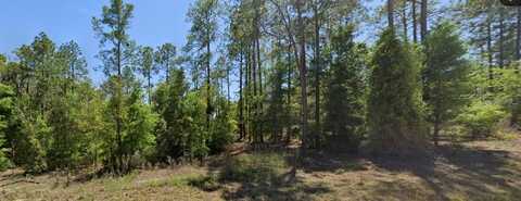 SE 5TH PLACE, WILLISTON, FL 32696