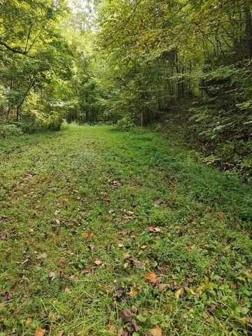 0 Yellow Branch SR 1241, ROBBINSVILLE, NC 28771