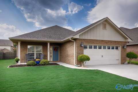 2960 SE Magnolia Park Drive, Owens Cross Roads, AL 35763