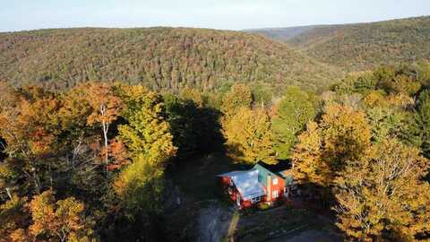 4507 Cherry Springs Rd., Coudersport, PA 16915