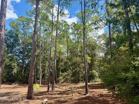 NETTLES Road, Florahome, FL 32140