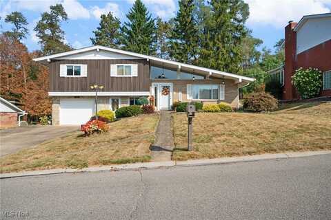 229 Meadowbrook Drive, Wintersville, OH 43953