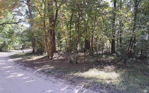 TBD SW SANTA FE DRIVE, Fort White, FL 32038