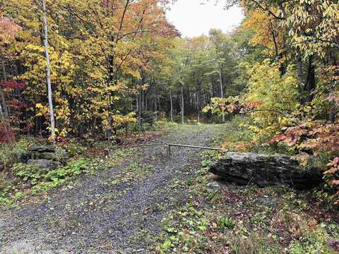 TBD Warren Mountain Road, Roxbury, VT 05669