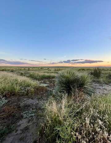 1851 Rabbit Rd, Marfa, TX 79843