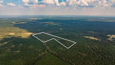 Tbd County Road 1582, Avinger, TX 75630