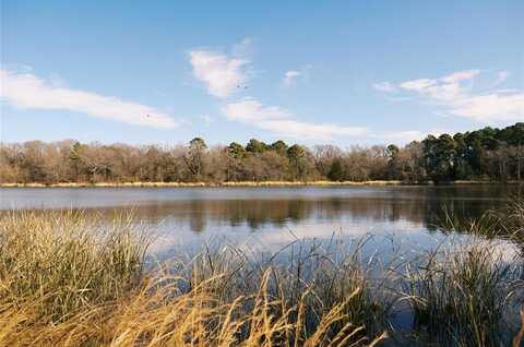 Tbd Lot 5 County Road 2200, Mineola, TX 75773