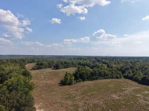 00 Three way rd, Decaturville, TN 38329