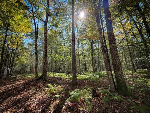 0 Tamblin Ridge Trl, Constantia, NY 13028