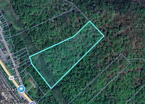 0 NR RT 60, Ferris, WV 15090