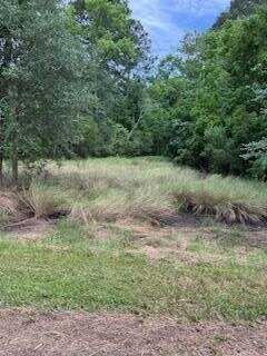 35/36 West First St, Midway, GA 31320