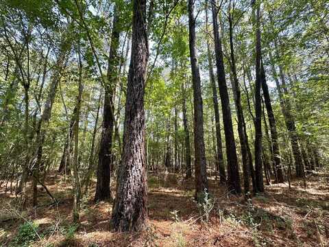 2 Forest Service Road 562, Pulaski, MS 39152