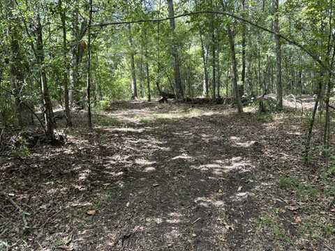 American Ave., Turbeville, SC 29162