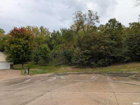 1441 W 98TH Avenue Court, Rock Island, IL 61201