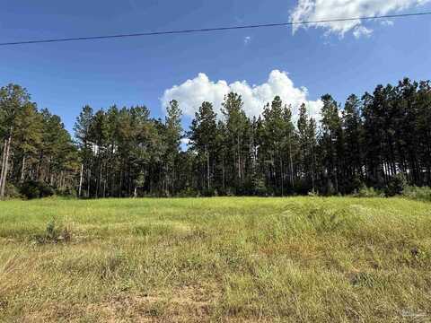 1359 Mineral Springs Rd, Jay, FL 32565