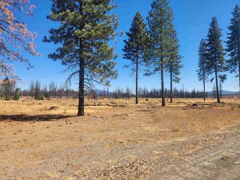 42339 Highway 89, Chester, CA 96020