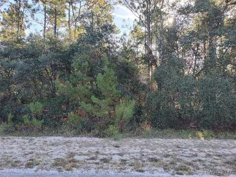 5417 N Crossgate Point, Beverly Hills, FL 34465