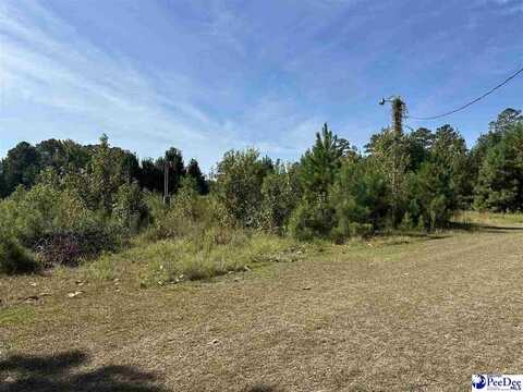 622 Willowtree Rd, Darlington, SC 29540