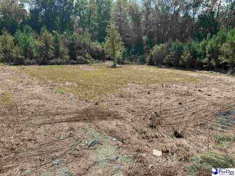 1923 S 5th Street, Hartsville, SC 29550