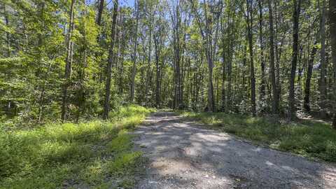 28.6 Acres Clifton Cemetery Road, Spring City, TN 37381