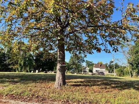 2105 Antoinette Street, Detroit, MI 48208