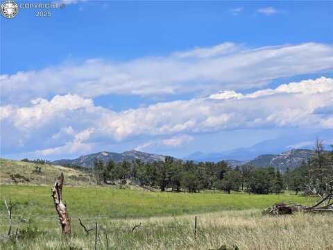 Tbd 26th Trail, Cotopaxi, CO 81223