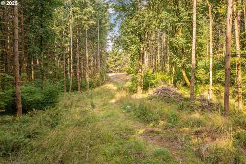 11975 SE ZION HILL DR, Damascus, OR 97089