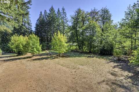 NW Wilson River Hwy, Gales Creek, OR 97117