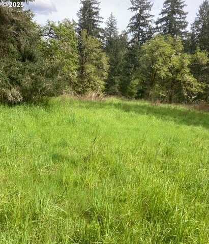 Lazy E Way Parcel 3, Creswell, OR 97426