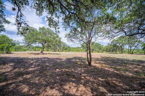 13402 LUCAS CIR, San Antonio, TX 78245