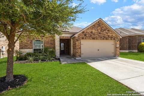 6193 Daisy Way, New Braunfels, TX 78132