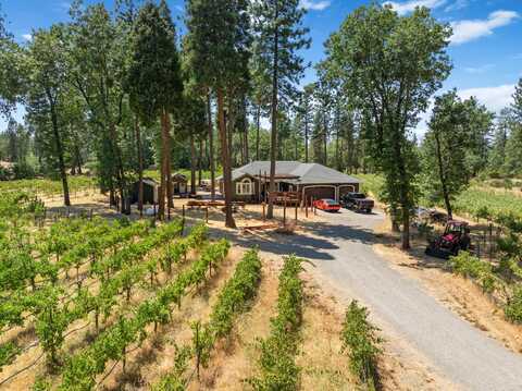 32055 Forwards Ml Road, Manton, CA 96059