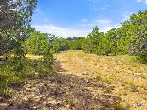 242 Thoroughbred Lane, Spring Branch, TX 78070